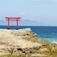 下田で暮らそう。〜伊豆・下田市移住者の「わ」〜