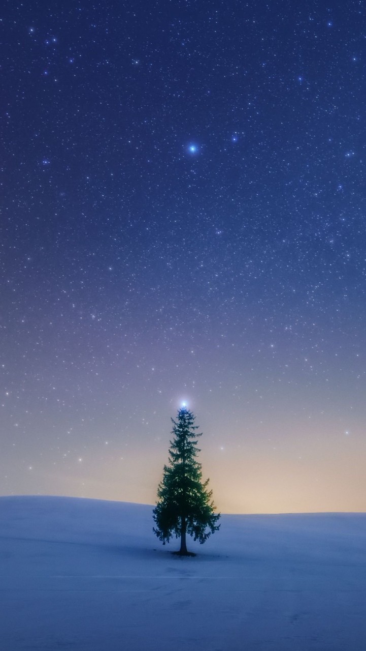 無地雷の限界夢女子集まれ！