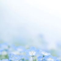 無地雷の限界夢女子集まれ！