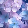 無地雷の限界夢女子集まれ！
