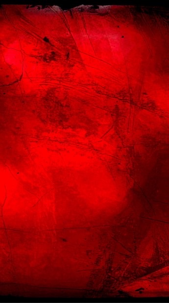 【田尾ぱんだ】ニュース提供場