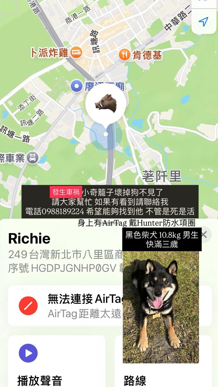 找Richie