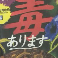 害虫トーク(虫好きトーク)