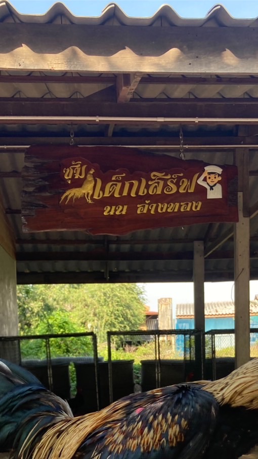 ซุ้ม.เด็กเสิร์ฟ นนอ่างทอง