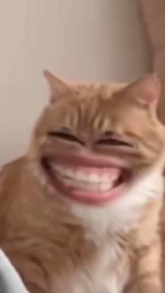 สายรหัสวิทพลังสิบ ปี69