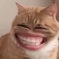 สายรหัสวิทพลังสิบ ปี69