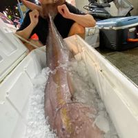 馬汀&阿彬船班資訊、釣技交流、釣具疑問