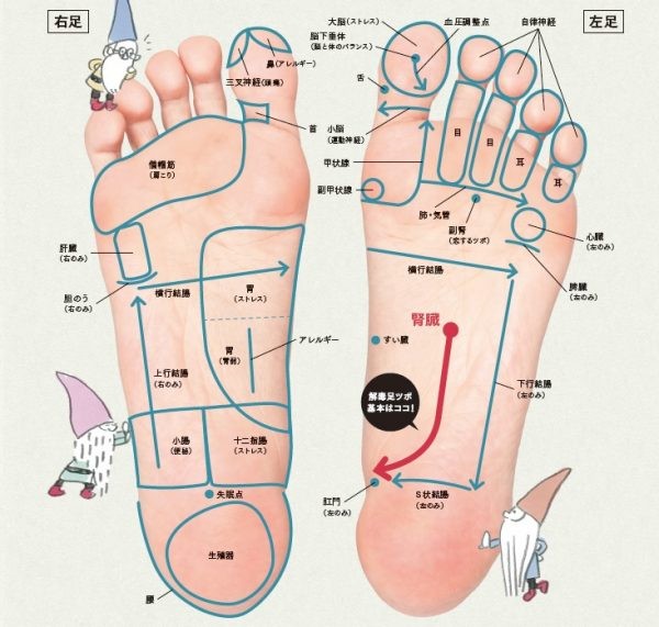 ゴリゴリは要注意 痩せたい人のための 解毒 足ツボ