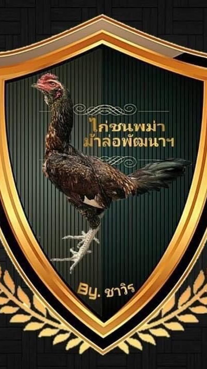 ชาวิร ชาวิรุช
