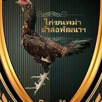 ชาวิร ชาวิรุช