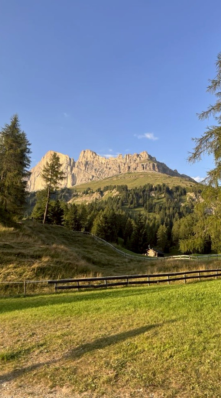 ทองบลอนด์ดำอีสtin'