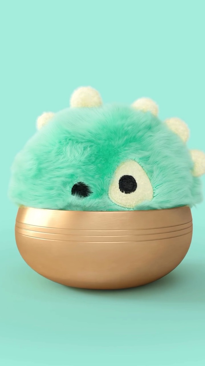 ✨與CORTIS一起的人們✨