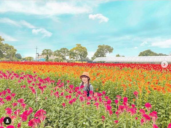 圖片來源 / IG @delia_51