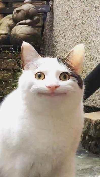 OpenChat 名前なんて要らぬ