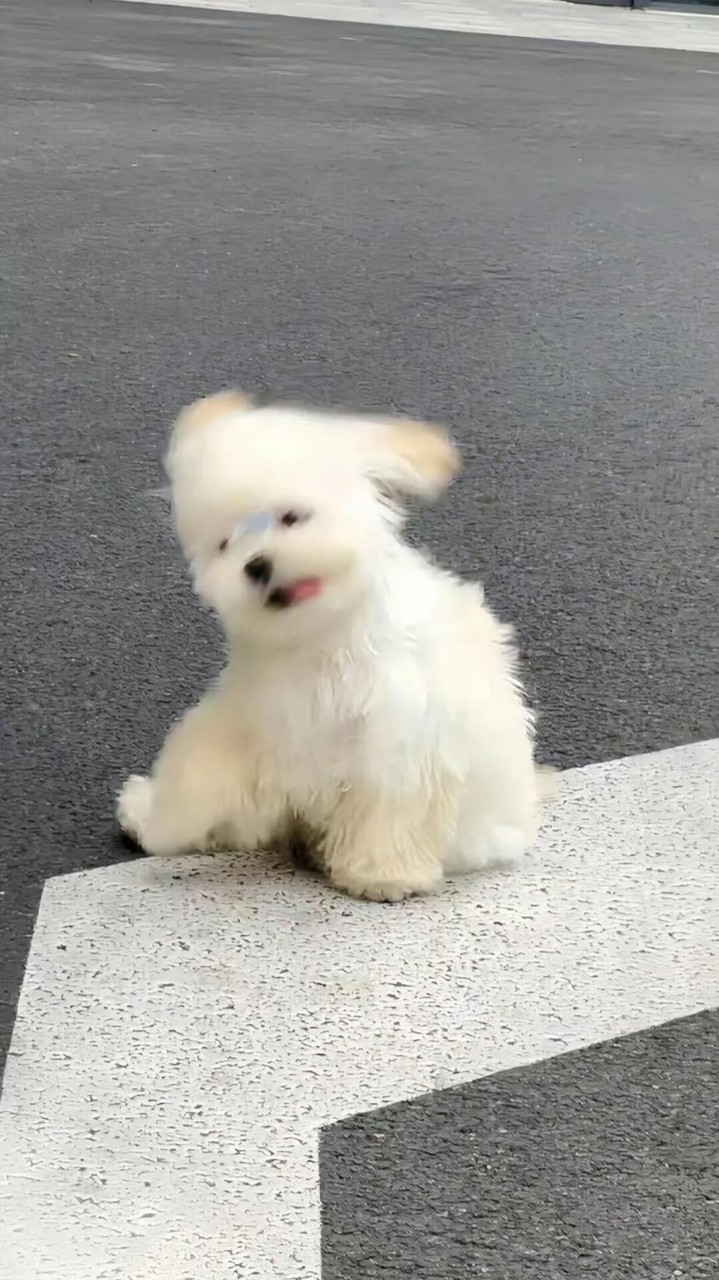 𝐇•𝐖 秘密基地