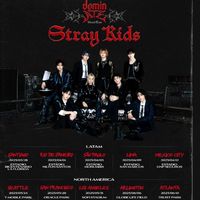 straykids 2025年6月NY公演行く人