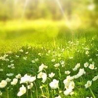 カサンドラ症候群の人のお話し広場