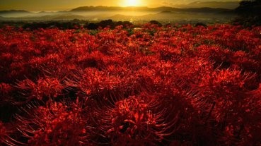 不是每個地方都歡迎遊客的！