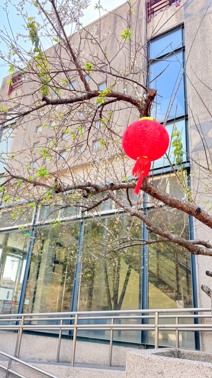 饅頭家族社群(測試)