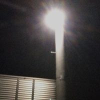 歌おぷ民は全員ファミリー