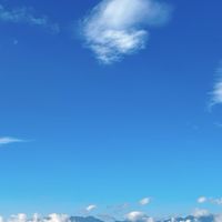 ダイソン礼子の人を巻き込む極意