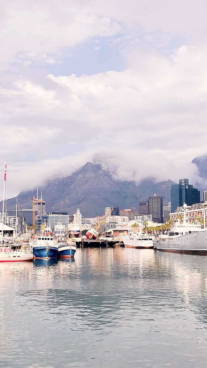 傲嬌卡哇伊的老BABY們❤️