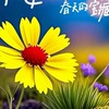 45+北部喜悅的群🌅🌹