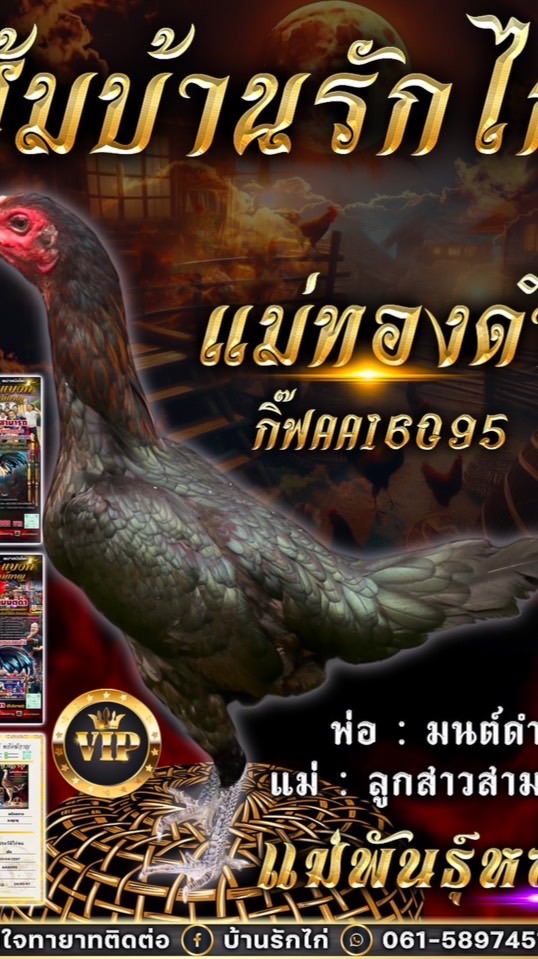 ซุ้มบ้านรักไก่