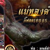 ซุ้มบ้านรักไก่