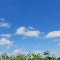 數理資優班家長社群