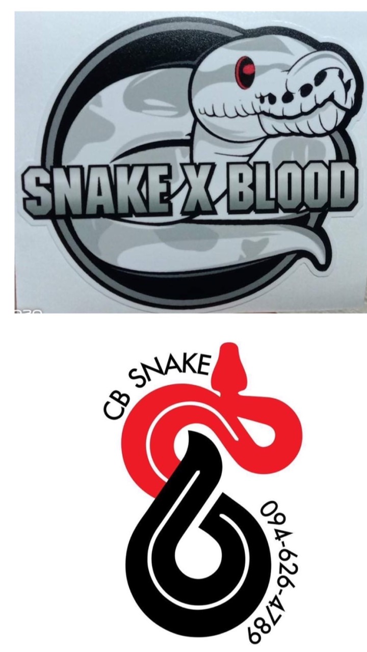 Snake x blood & Cb snake