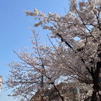 跟宥利東大門一起湊單