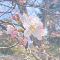 滋賀大学2026年度新入生