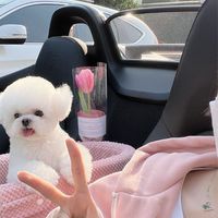 招募TikTok按愛心 評論員（薪資現結）10群