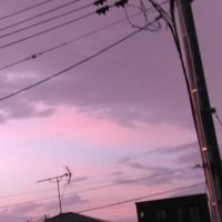 雑談こーなー‼️