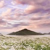 思念島