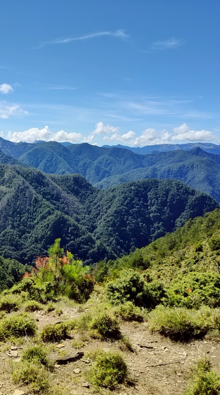 山林基石（三角點）交流