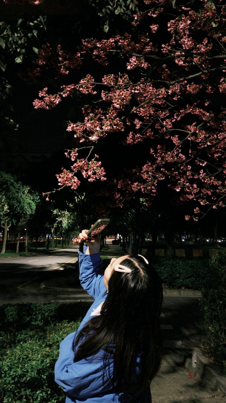 辣妹3的小宇宙花園🪐💐🌷🌺🪸🌼