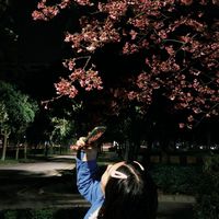 辣妹3的小宇宙花園🪐💐🌷🌺🪸🌼