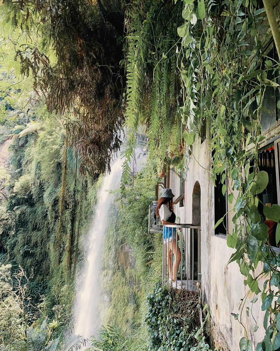 ９條不能錯過的新北網美登山步道｜跟著網紅走進新北登山步道！