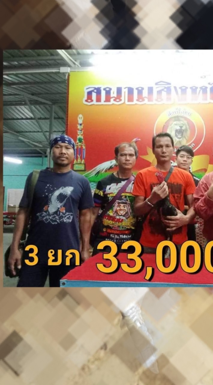 ข่าวสารไก่ชน