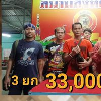 ข่าวสารไก่ชน