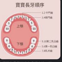 兒牙保健👶🍼🦷🪥