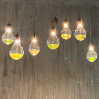 世峰中醫減重社群