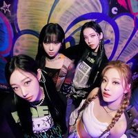 🖤8/11 aespa演唱會高雄、台南包車🖤