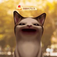 猫と愉快な仲間たち
