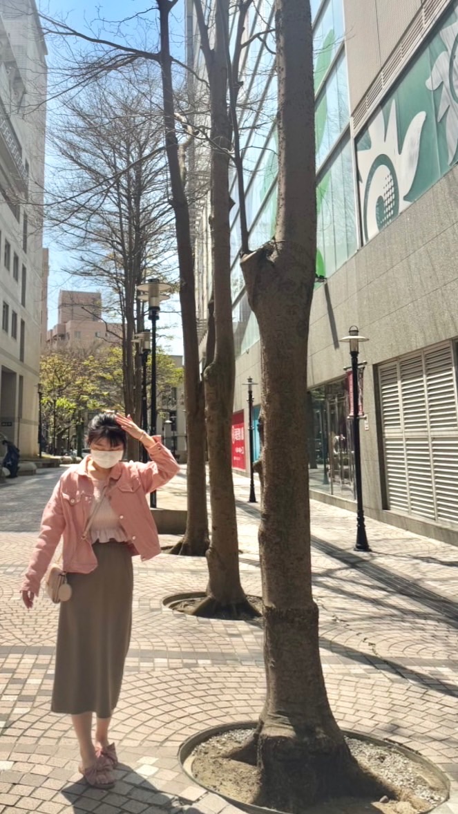 愛麗絲夢遊仙境