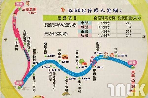 台中市 后里 后豐鐵馬道 東豐綠廊 爽朗秋日兜風去 旅遊滔客 Line Today