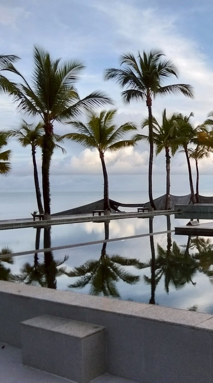 ❤️มิตรภาพในดงหญ้า❤️เพื่อนเหงา❤️คนโสด❤️