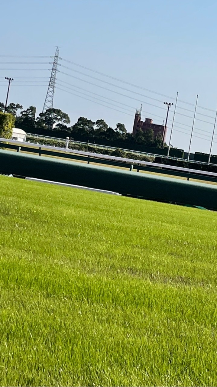 馬好きのための競馬予想検討会  (ゆる) OpenChat